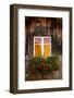 Geranium in Front of Window-By-Framed Photographic Print