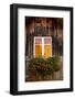 Geranium in Front of Window-By-Framed Photographic Print