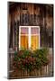 Geranium in Front of Window-By-Mounted Photographic Print