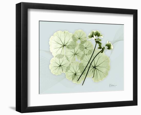 Geranium L48-Albert Koetsier-Framed Art Print