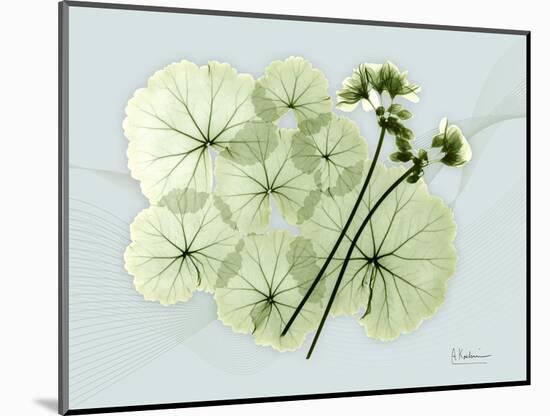 Geranium L48-Albert Koetsier-Mounted Art Print