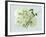 Geranium L48-Albert Koetsier-Framed Art Print