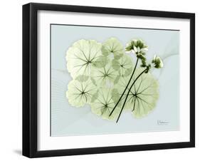 Geranium L48-Albert Koetsier-Framed Art Print