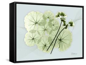 Geranium L48-Albert Koetsier-Framed Stretched Canvas