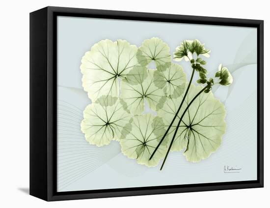 Geranium L48-Albert Koetsier-Framed Stretched Canvas