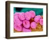 Geranium pollen at a magnification of x400-Micro Discovery-Framed Photographic Print