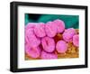 Geranium pollen at a magnification of x400-Micro Discovery-Framed Photographic Print