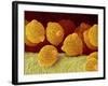 Geranium pollen in anther-Micro Discovery-Framed Photographic Print