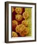 Geranium pollen in anther-Micro Discovery-Framed Photographic Print