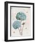 Geranium Study II-Katie Pertiet-Framed Art Print