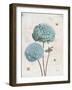 Geranium Study II-Katie Pertiet-Framed Art Print