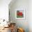 Geranium-Joan Thewsey-Framed Giclee Print displayed on a wall