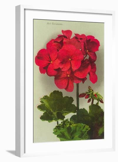 Geranium-null-Framed Art Print