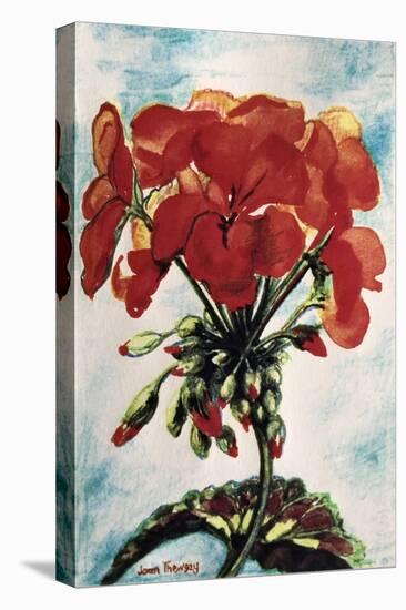Geranium-Joan Thewsey-Stretched Canvas