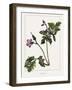 Geranium-Annika John-Framed Giclee Print