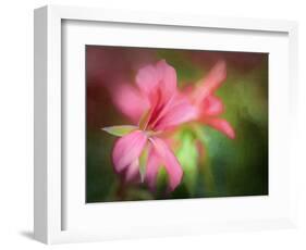 Geranium-Janet Slater-Framed Photographic Print