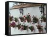 Geraniums along White Wall of Palacio de Mondragon, Ronda, Spain-Merrill Images-Framed Stretched Canvas