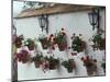 Geraniums along White Wall of Palacio de Mondragon, Ronda, Spain-Merrill Images-Mounted Premium Photographic Print