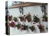 Geraniums along White Wall of Palacio de Mondragon, Ronda, Spain-Merrill Images-Stretched Canvas