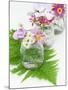 Geraniums and Chrysanthemums in Jars with Fern-Linda Burgess-Mounted Photographic Print