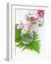 Geraniums and Chrysanthemums in Jars with Fern-Linda Burgess-Framed Photographic Print