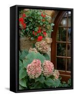 Geraniums and Hydrangea by Doorway, Chateau de Cercy, Burgundy, France-Lisa S. Engelbrecht-Framed Stretched Canvas