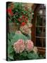 Geraniums and Hydrangea by Doorway, Chateau de Cercy, Burgundy, France-Lisa S. Engelbrecht-Stretched Canvas