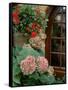 Geraniums and Hydrangea by Doorway, Chateau de Cercy, Burgundy, France-Lisa S. Engelbrecht-Framed Stretched Canvas