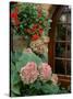 Geraniums and Hydrangea by Doorway, Chateau de Cercy, Burgundy, France-Lisa S. Engelbrecht-Stretched Canvas