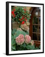 Geraniums and Hydrangea by Doorway, Chateau de Cercy, Burgundy, France-Lisa S. Engelbrecht-Framed Premium Photographic Print