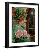 Geraniums and Hydrangea by Doorway, Chateau de Cercy, Burgundy, France-Lisa S. Engelbrecht-Framed Photographic Print