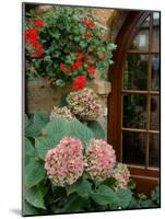 Geraniums and Hydrangea by Doorway, Chateau de Cercy, Burgundy, France-Lisa S. Engelbrecht-Mounted Photographic Print
