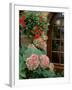 Geraniums and Hydrangea by Doorway, Chateau de Cercy, Burgundy, France-Lisa S. Engelbrecht-Framed Photographic Print