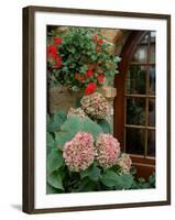 Geraniums and Hydrangea by Doorway, Chateau de Cercy, Burgundy, France-Lisa S. Engelbrecht-Framed Photographic Print