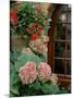 Geraniums and Hydrangea by Doorway, Chateau de Cercy, Burgundy, France-Lisa S. Engelbrecht-Mounted Photographic Print