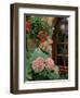 Geraniums and Hydrangea by Doorway, Chateau de Cercy, Burgundy, France-Lisa S. Engelbrecht-Framed Photographic Print