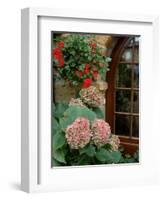 Geraniums and Hydrangea by Doorway, Chateau de Cercy, Burgundy, France-Lisa S. Engelbrecht-Framed Photographic Print