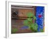 Geraniums and Old Door in Chania, Crete, Greece-Darrell Gulin-Framed Photographic Print