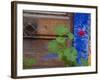 Geraniums and Old Door in Chania, Crete, Greece-Darrell Gulin-Framed Photographic Print