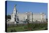 Geraniums at Buckingham Palace, London, England, United Kingdom, Europe-James Emmerson-Stretched Canvas