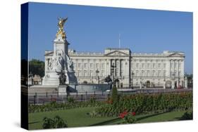 Geraniums at Buckingham Palace, London, England, United Kingdom, Europe-James Emmerson-Stretched Canvas