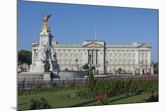 Geraniums at Buckingham Palace, London, England, United Kingdom, Europe-James Emmerson-Mounted Photographic Print