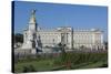 Geraniums at Buckingham Palace, London, England, United Kingdom, Europe-James Emmerson-Stretched Canvas