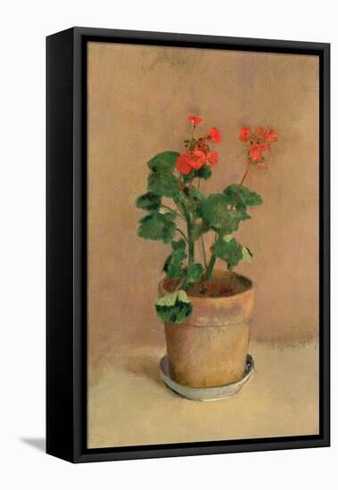 Geraniums in a Pot, c.1905-Odilon Redon-Framed Stretched Canvas