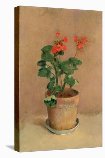 Geraniums in a Pot, c.1905-Odilon Redon-Stretched Canvas