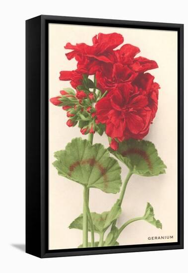 Geraniums-null-Framed Stretched Canvas