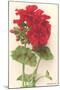 Geraniums-null-Mounted Art Print