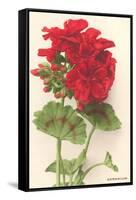 Geraniums-null-Framed Stretched Canvas