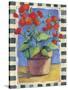 Geraniums-Fiona Stokes-Gilbert-Stretched Canvas