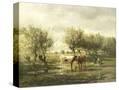 Stretched Canvas